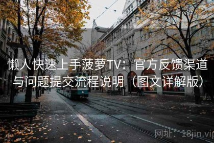 懒人快速上手菠萝TV：官方反馈渠道与问题提交流程说明（图文详解版）