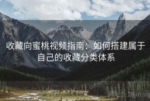 收藏向蜜桃视频指南：如何搭建属于自己的收藏分类体系