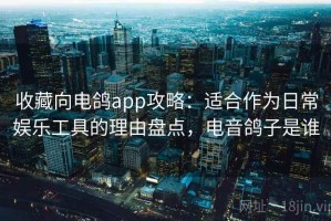 收藏向电鸽app攻略：适合作为日常娱乐工具的理由盘点，电音鸽子是谁