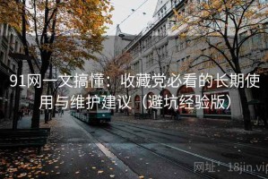 91网一文搞懂：收藏党必看的长期使用与维护建议（避坑经验版）
