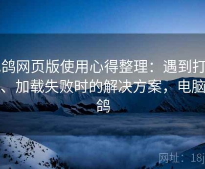 电鸽网页版使用心得整理：遇到打不开、加载失败时的解决方案，电脑赛鸽