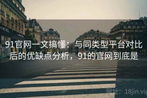 91官网一文搞懂：与同类型平台对比后的优缺点分析，91的官网到底是
