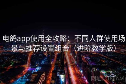 电鸽app使用全攻略：不同人群使用场景与推荐设置组合（进阶教学版）