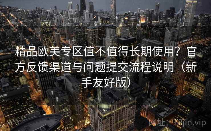 精品欧美专区值不值得长期使用？官方反馈渠道与问题提交流程说明（新手友好版）