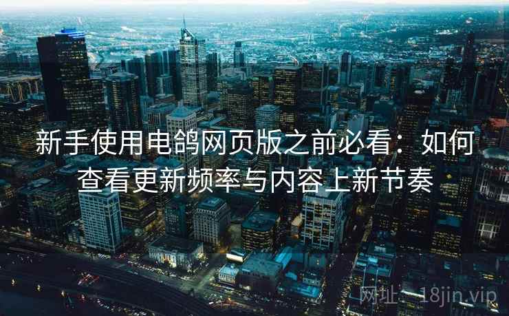 新手使用电鸽网页版之前必看：如何查看更新频率与内容上新节奏