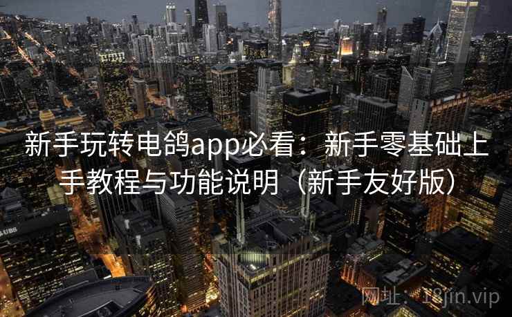 新手玩转电鸽app必看：新手零基础上手教程与功能说明（新手友好版）