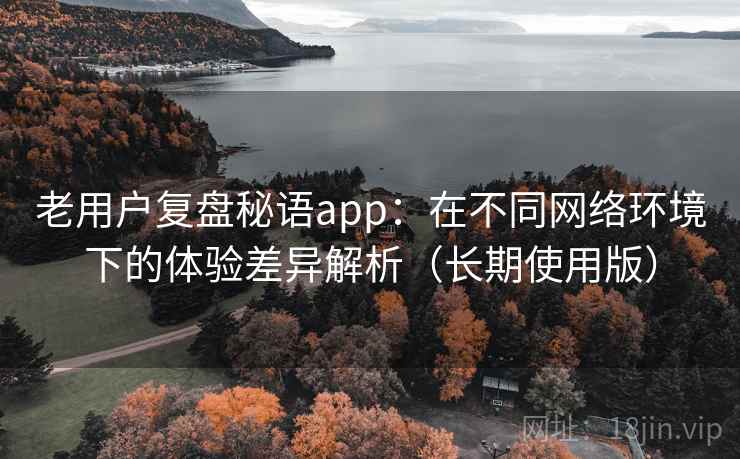 老用户复盘秘语app：在不同网络环境下的体验差异解析（长期使用版）