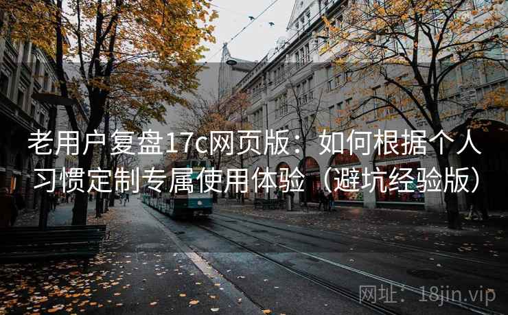老用户复盘17c网页版：如何根据个人习惯定制专属使用体验（避坑经验版）