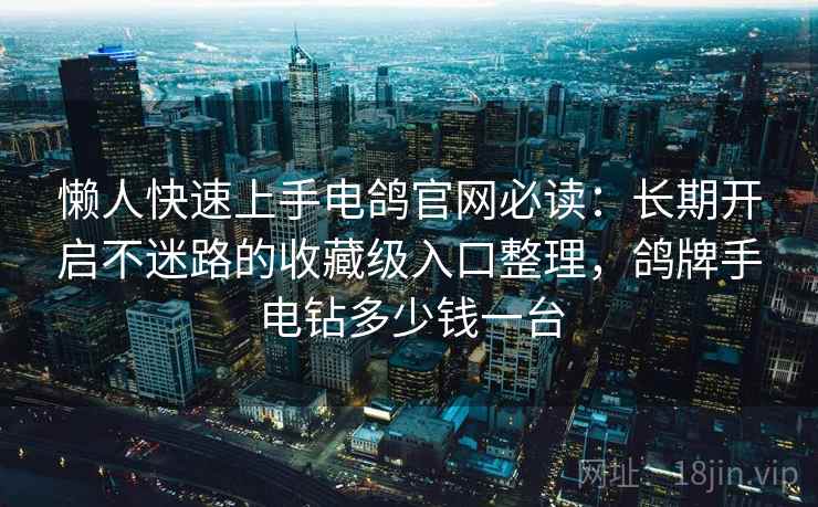懒人快速上手电鸽官网必读：长期开启不迷路的收藏级入口整理，鸽牌手电钻多少钱一台