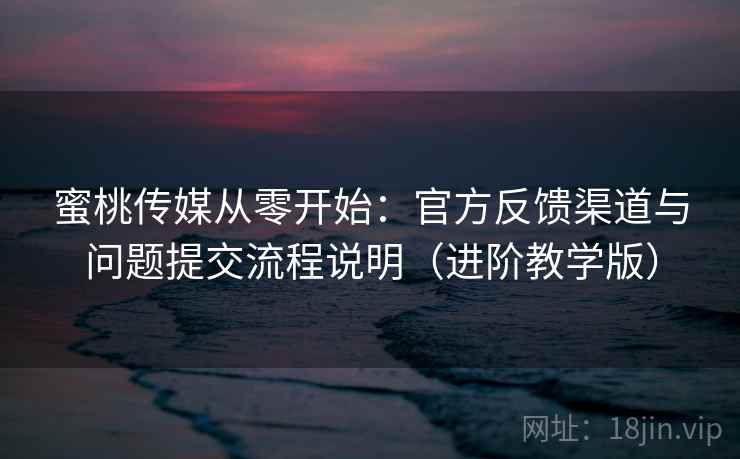 蜜桃传媒从零开始：官方反馈渠道与问题提交流程说明（进阶教学版）
