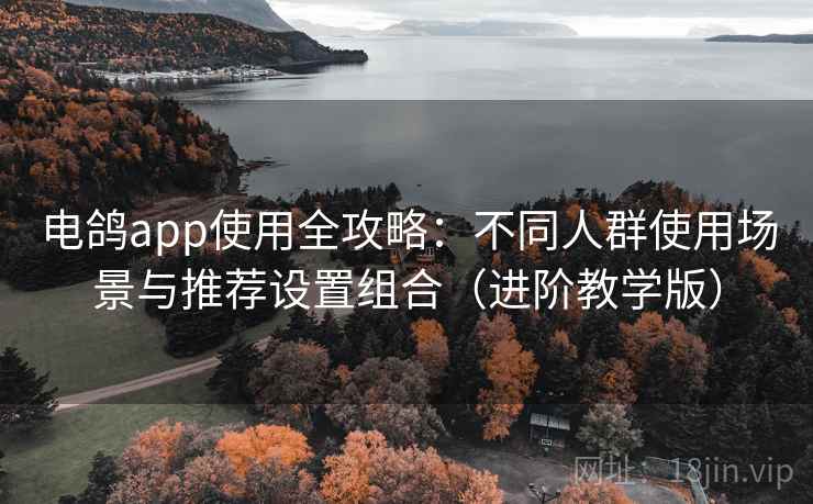 电鸽app使用全攻略：不同人群使用场景与推荐设置组合（进阶教学版）