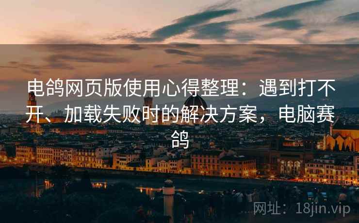 电鸽网页版使用心得整理：遇到打不开、加载失败时的解决方案，电脑赛鸽