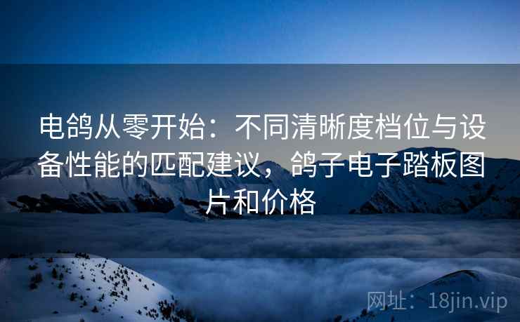 电鸽从零开始：不同清晰度档位与设备性能的匹配建议，鸽子电子踏板图片和价格