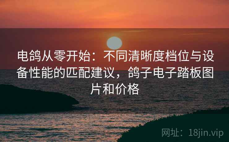 电鸽从零开始：不同清晰度档位与设备性能的匹配建议，鸽子电子踏板图片和价格
