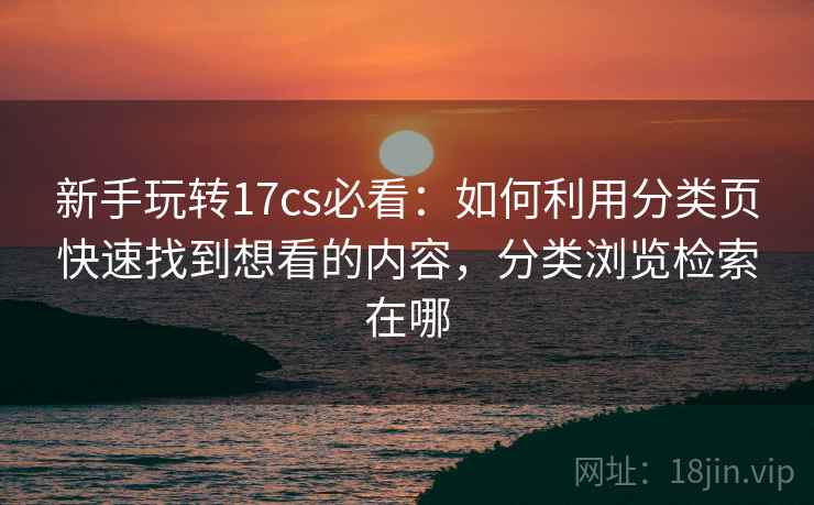 新手玩转17cs必看：如何利用分类页快速找到想看的内容，分类浏览检索在哪