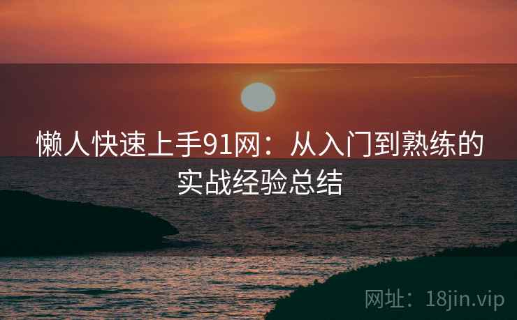 懒人快速上手91网：从入门到熟练的实战经验总结