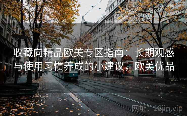 收藏向精品欧美专区指南：长期观感与使用习惯养成的小建议，欧美优品