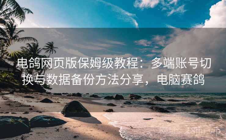 电鸽网页版保姆级教程:多端账号切换与数据备份方法分享,电脑赛鸽 电鸽网页版保姆级教程:多端账号切换与数据备份方法分享,电脑赛鸽