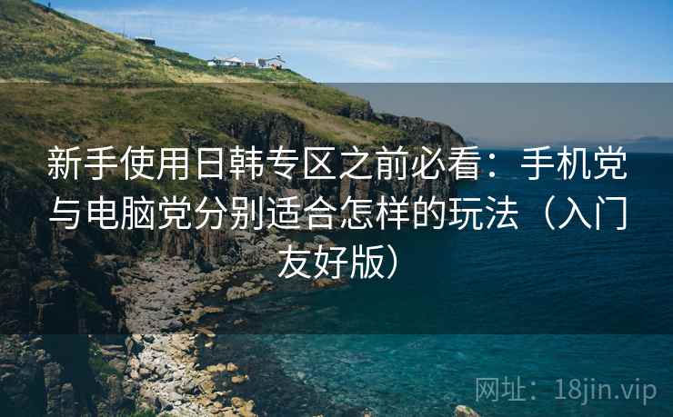 新手使用日韩专区之前必看：手机党与电脑党分别适合怎样的玩法（入门友好版）