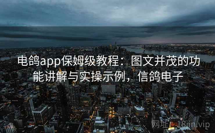 电鸽app保姆级教程：图文并茂的功能讲解与实操示例，信鸽电子