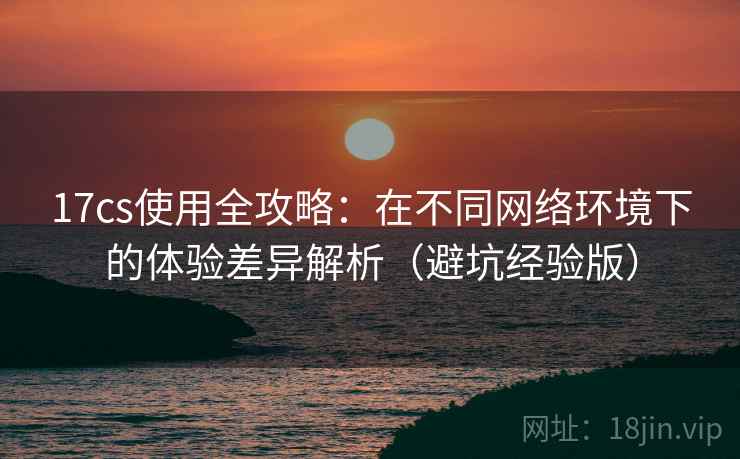 17cs使用全攻略：在不同网络环境下的体验差异解析（避坑经验版）