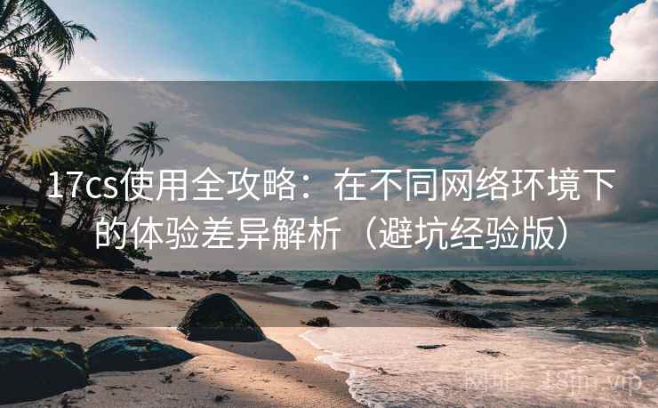 17cs使用全攻略：在不同网络环境下的体验差异解析（避坑经验版）